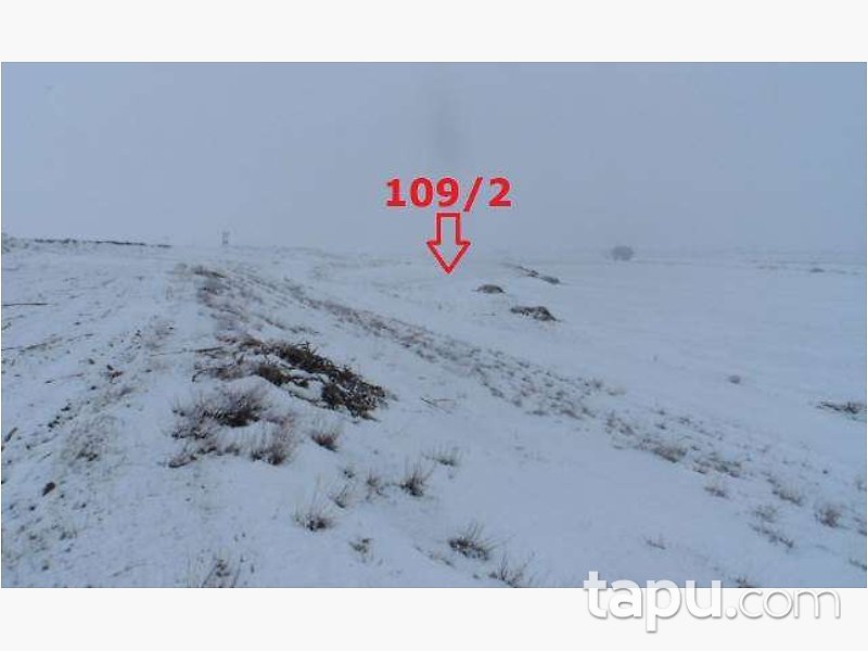 Erzurum Tepecik Mahallesi'nde Yola Cepheli 17 Dönüm Tarla