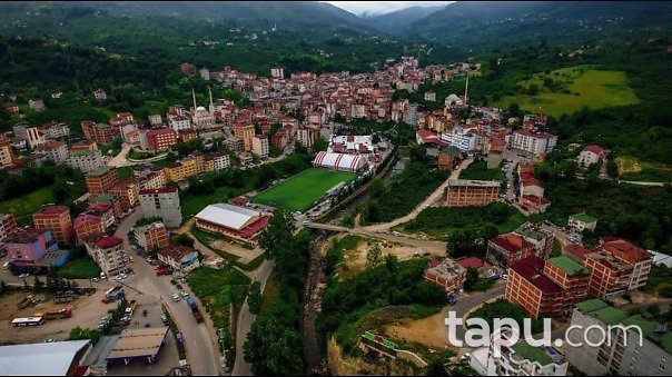 Ordu Kumru Derbent Mahallesi'nde 7076 m2 Fındık Bahçesi