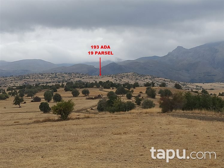 Isparta Çamharman Köyü'nde 2627 m2 Tarla
