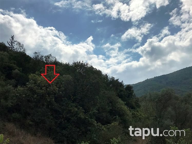 Bursa Gemlik'te 1260 m2 Tarla