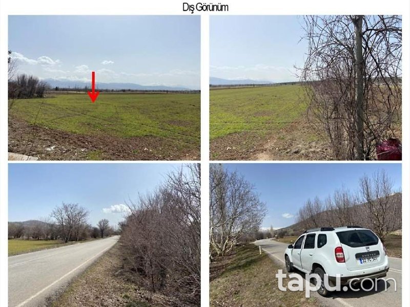 Isparta Atabey Pembeli Mahallesi'nde 10 Dönüm Tarla