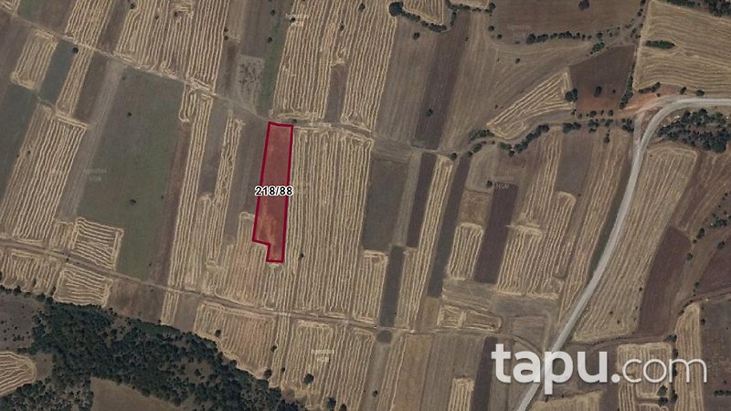 Denizli Çardak Söğüt Köyü'nde Kaçırılmayacak Fırsatta 4.618 m2 Tarla