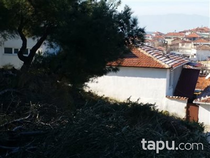 Manisa Kırkağaç Alifakı Mahallesi'nde Depo ve Zeytin Bahçesi
