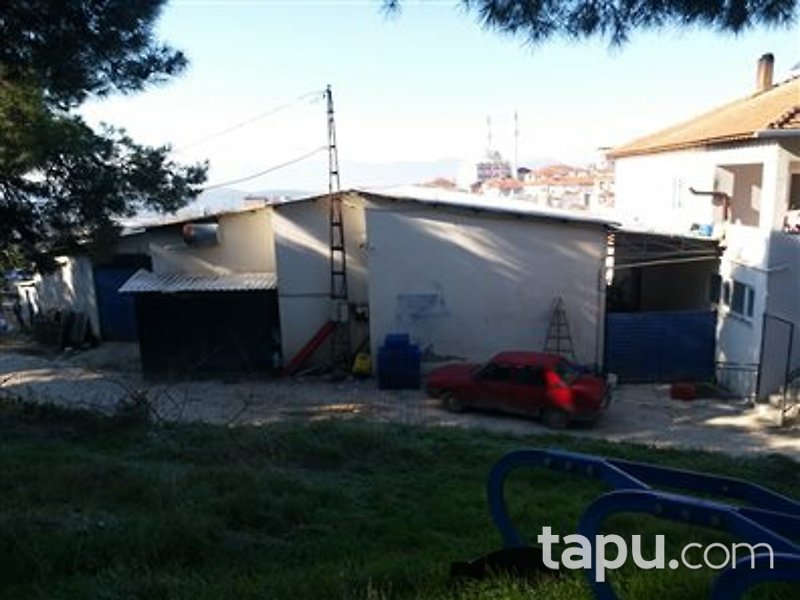 Manisa Kırkağaç Alifakı Mahallesi'nde Depo ve Zeytin Bahçesi