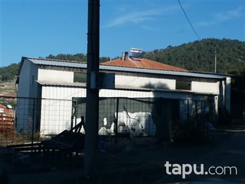 Manisa Kırkağaç Alifakı Mahallesi'nde Depo ve Zeytin Bahçesi