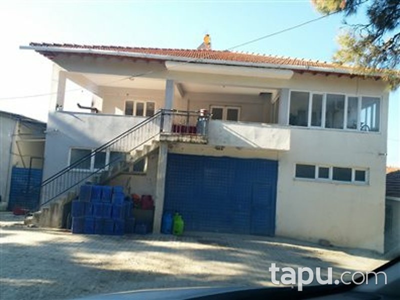 Manisa Kırkağaç Alifakı Mahallesi'nde Depo ve Zeytin Bahçesi