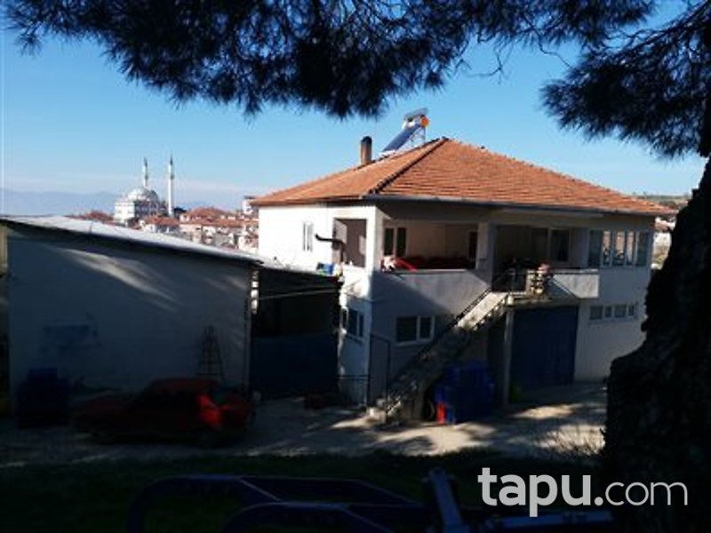Manisa Kırkağaç Alifakı Mahallesi'nde Depo ve Zeytin Bahçesi