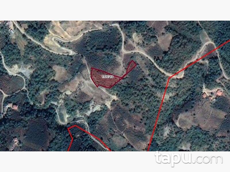Samsun Ayvacık Yeniköy Mahallesi'nde 4.025 m2 Fındık Bahçesi