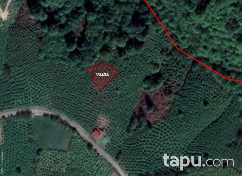 Ordu Gürgentepe'de 877 m2 Fındık Bahçesi
