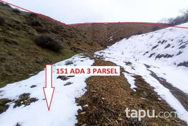 Elazığ Palu Altınölçek Köyü'nde Yatırımlık 18 Dönüm Tarla