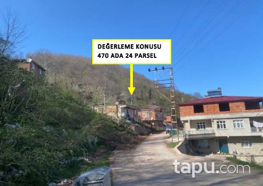 Ordu Kabataş Yakacık Mahallesi'nde Hisseli Fındık Bahçesi