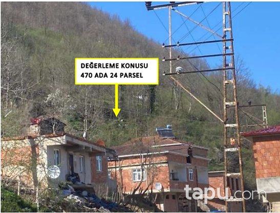 Ordu Kabataş Yakacık Mahallesi'nde Hisseli Fındık Bahçesi