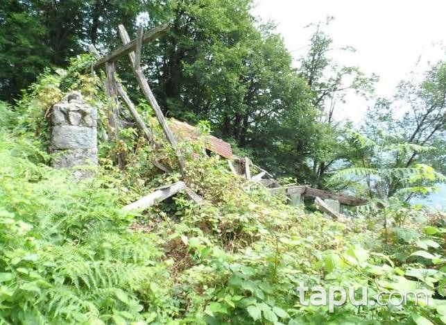 Artvin Borçka Şerefiye Mahallesi'nde Ahşap Ev Ve Çay Bahçesi