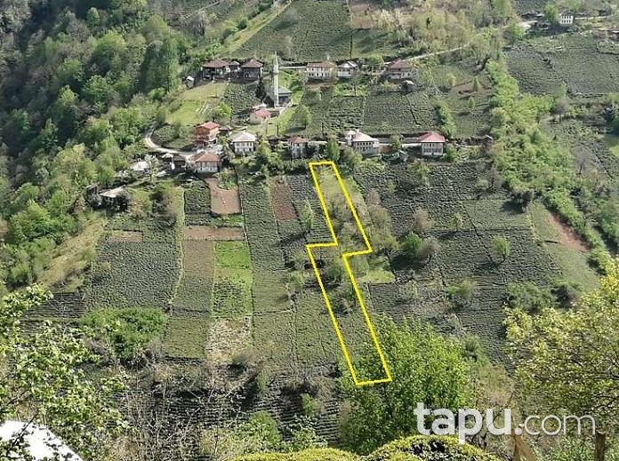 Artvin Arhavi Küçükköy Mahallesi'nde Hisseli Çay Bahçesi