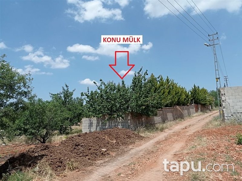 Gaziantep Şehitkamil Öğümsöğüt Mahallesi'nde 9 Dönüm Bağ