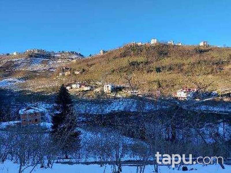 Trabzon Ortahisar'da Yatırımlık 4 Dönüm Fındık Bahçesi