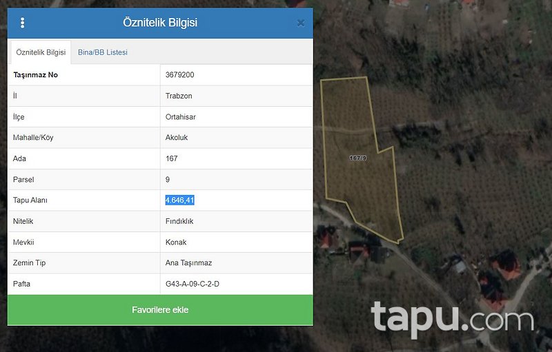 Trabzon Ortahisar'da Yatırımlık 4 Dönüm Fındık Bahçesi