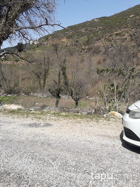 Antalya Alanya'da Yatırımlık 2 Dönüm Tarla