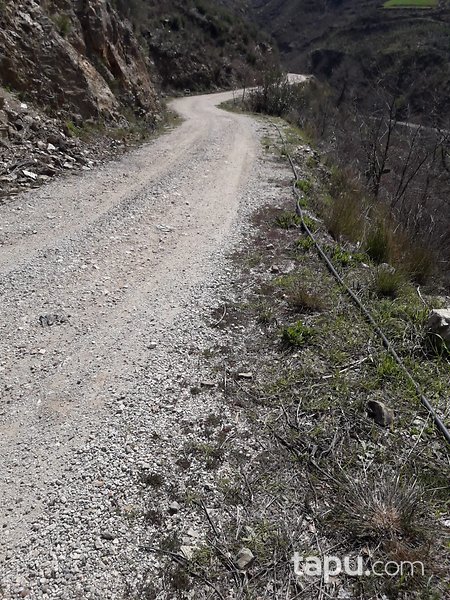 Antalya Alanya'da Yatırımlık 2 Dönüm Tarla