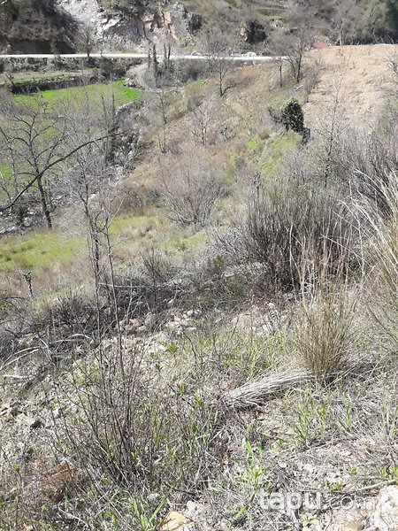 Antalya Alanya'da Yatırımlık 2 Dönüm Tarla