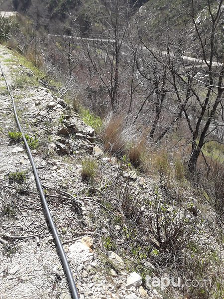 Antalya Alanya'da Yatırımlık 2 Dönüm Tarla