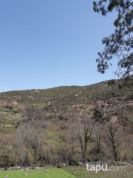 Antalya Alanya'da Yatırımlık 2 Dönüm Tarla