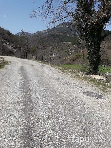 Antalya Alanya'da Yatırımlık 2 Dönüm Tarla