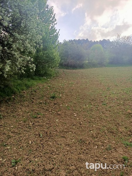 Bolu Merkez Topardıç'ta Yatırımlık 3097 m2 Tarla