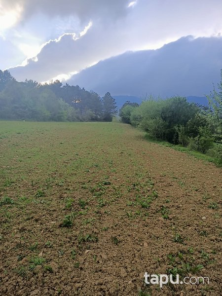 Bolu Merkez Topardıç'ta Yatırımlık 3097 m2 Tarla