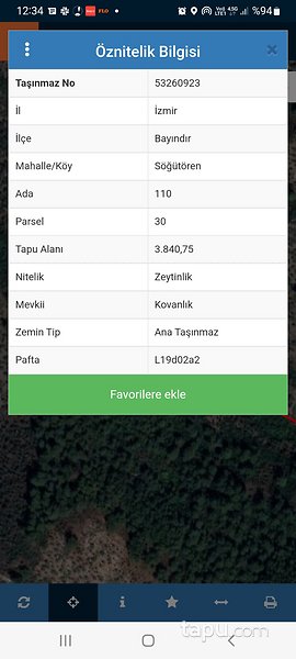 İzmir Bayındır'da Yatırımlık 4 Dönüm Zeytinlik