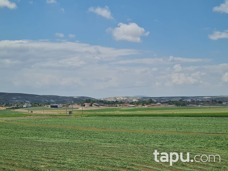 Eskişehir Beylikova'da Yatırımlık 8 Dönüm Tarla