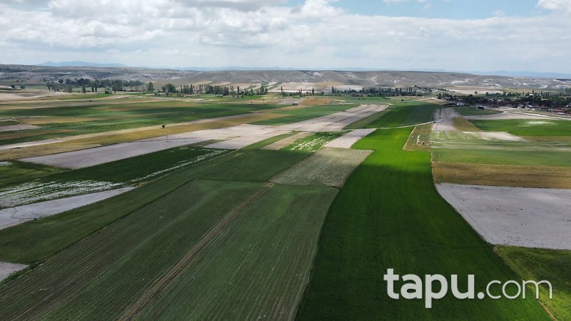 Eskişehir Beylikova'da Yatırımlık 8 Dönüm Tarla