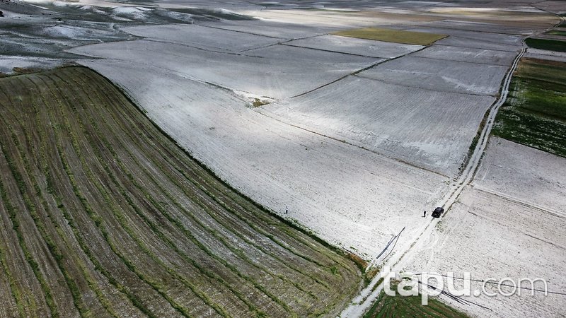 Eskişehir Beylikova'da Yatırımlık 8 Dönüm Tarla