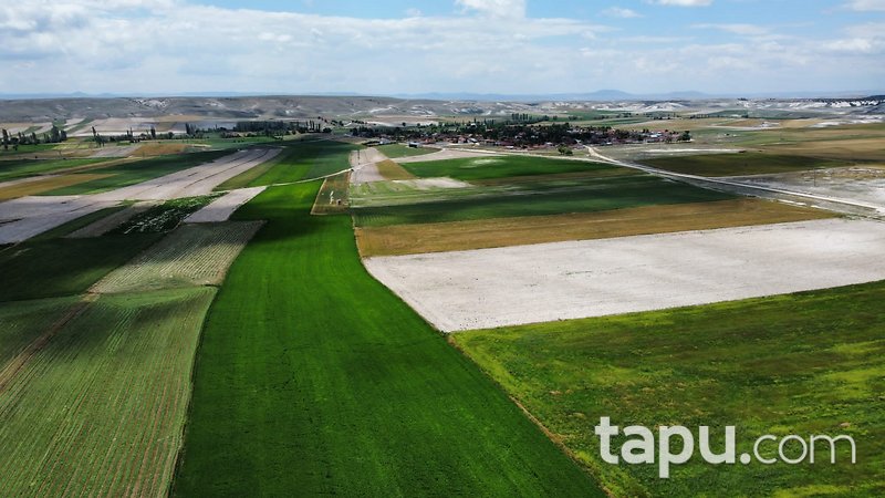 Eskişehir Beylikova'da Yatırımlık 8 Dönüm Tarla