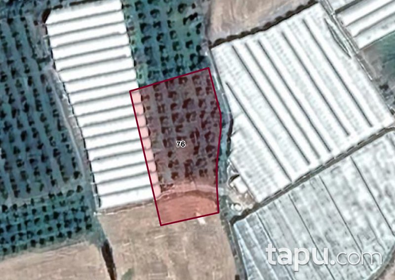 Elmalı'da Yola Yakın 2 Dönüm Tarla