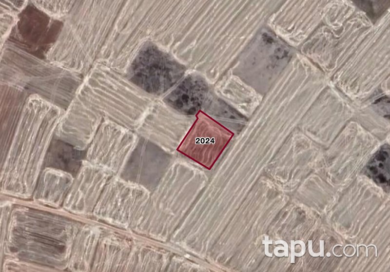 Korkuteli'nde Köy Merkezine Yakın Yatırımlık 1250 m2 Tarla