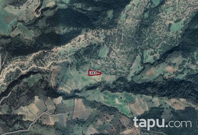 Ödemiş'te Yatırımlık 1.900 m2 Tarla