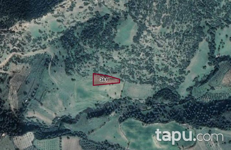 Ödemiş'te Yatırımlık 1.900 m2 Tarla