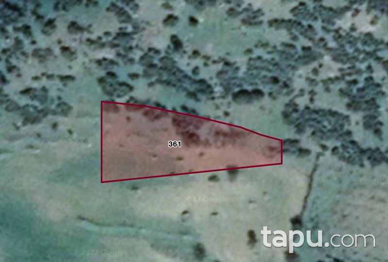 Ödemiş'te Yatırımlık 1.900 m2 Tarla