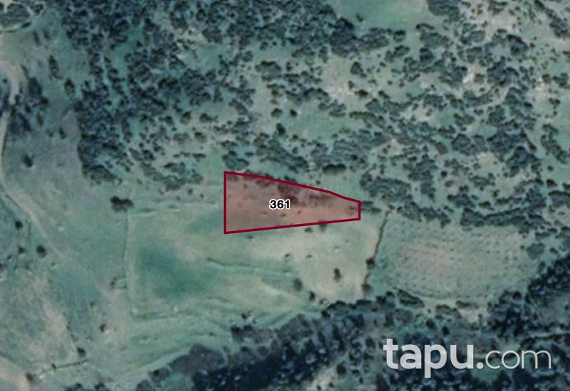 Ödemiş'te Yatırımlık 1.900 m2 Tarla