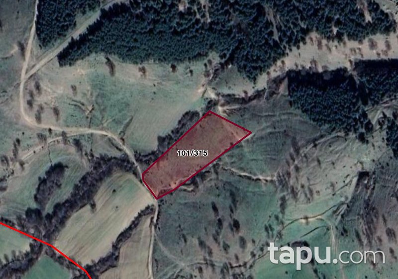 Kırklareli Merkez Kuzuluk'ta 9.549 m2 Tarla