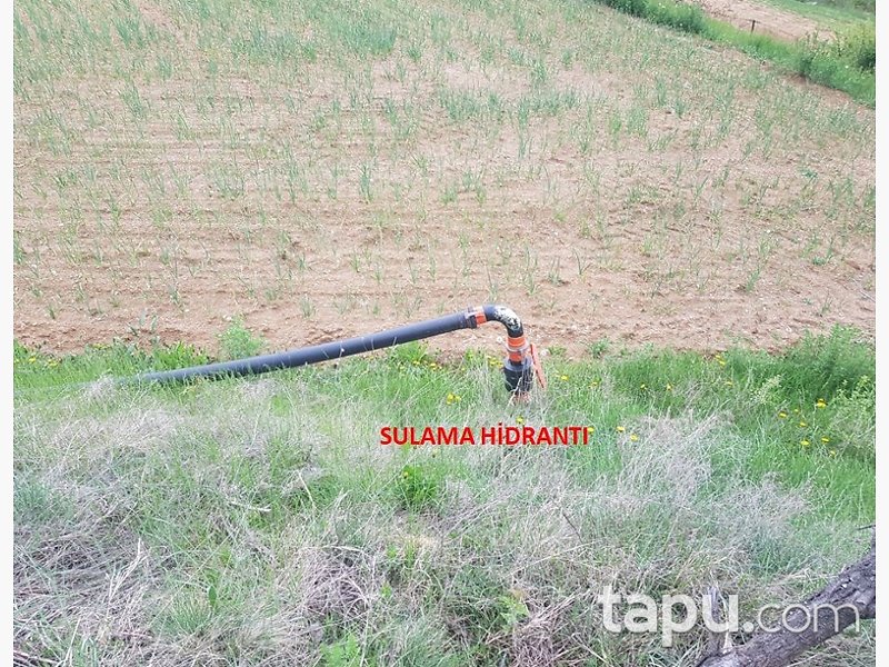 Kastamonu Taşköprü'de Yatırımlık 19 Dönüm Tarla