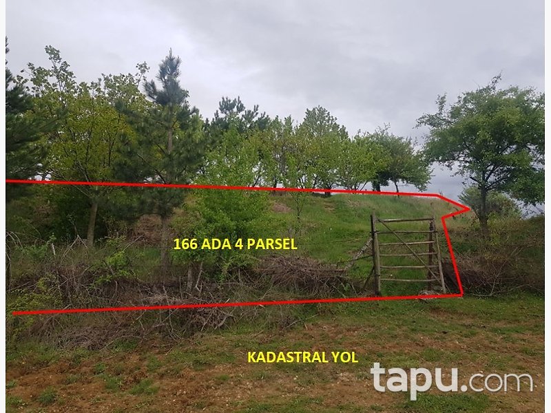 Kastamonu Taşköprü'de Yatırımlık 19 Dönüm Tarla