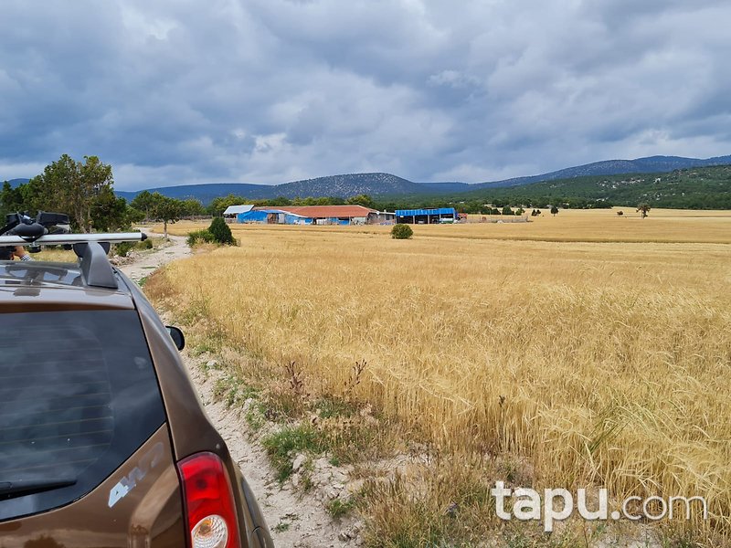 Eskişehir Beylikova'da 8 Dönüm Tarla