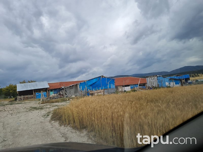 Eskişehir Beylikova'da 8 Dönüm Tarla