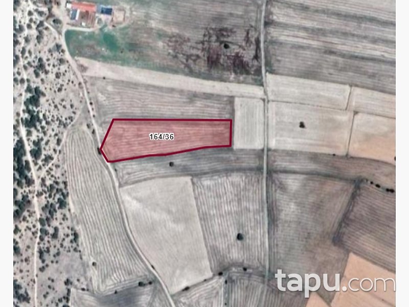 Eskişehir Beylikova'da 8 Dönüm Tarla