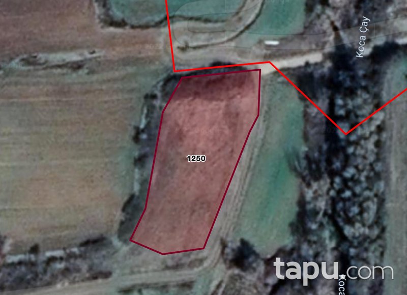 Çanakkale Biga'da 2416 m2 Tarla