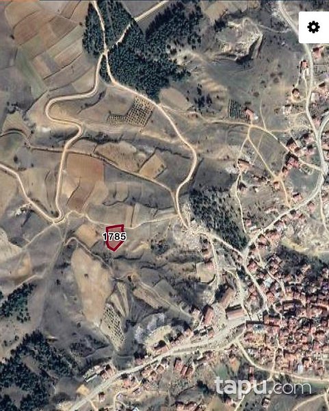 Bilecik Söğüt'te 1669 m2 Tarla