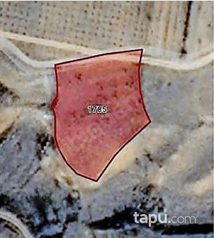 Bilecik Söğüt'te 1669 m2 Tarla