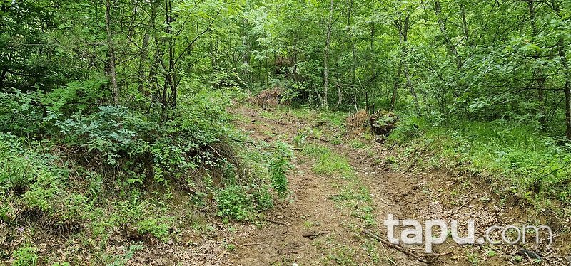 İnegöl Sarıpınar'da Köy Merkezine Yakın 3087m2 Yatırımlık Tarla